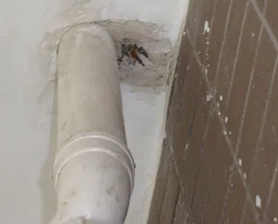 容城漏水检测哪家好